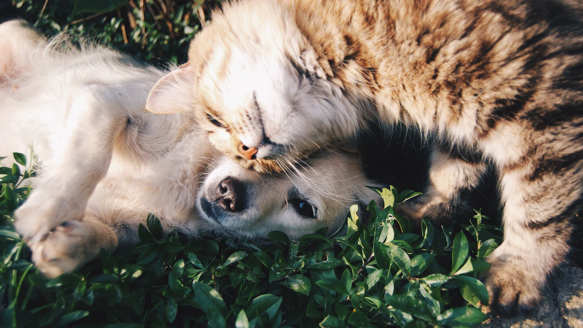 PetGPT Explained: How AI Can Help Answer Your Pet Questions