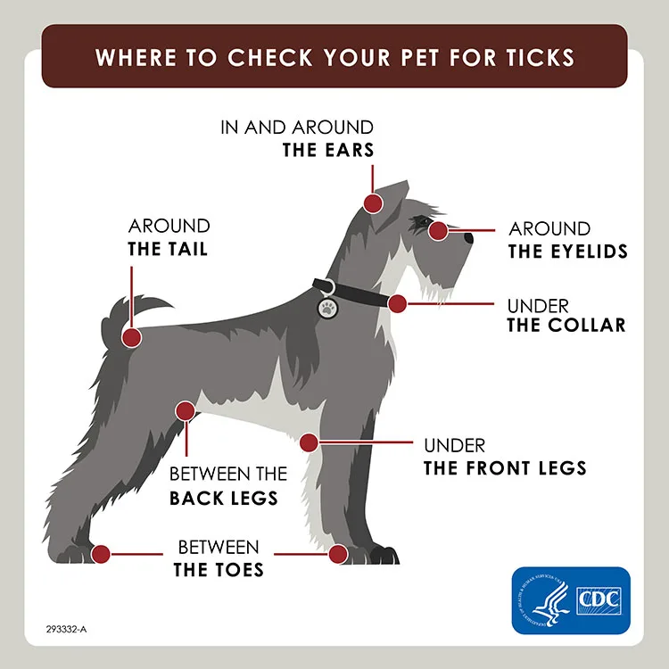 CDC diagram marking seven common places to check a dog for ticks
